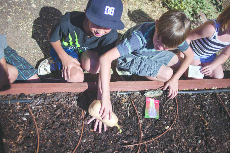Ahwatukee Community Garden Project